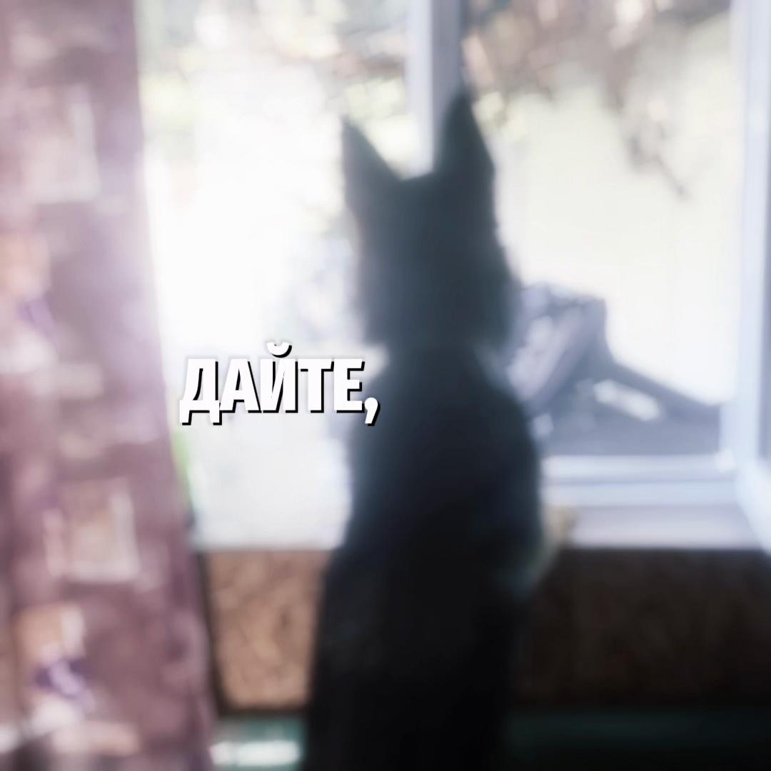 @Кэтрисс