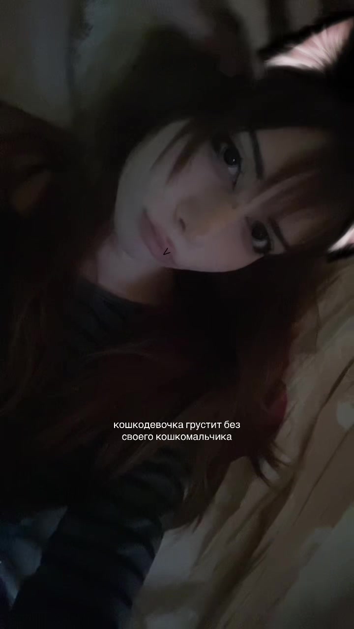 @мяукс