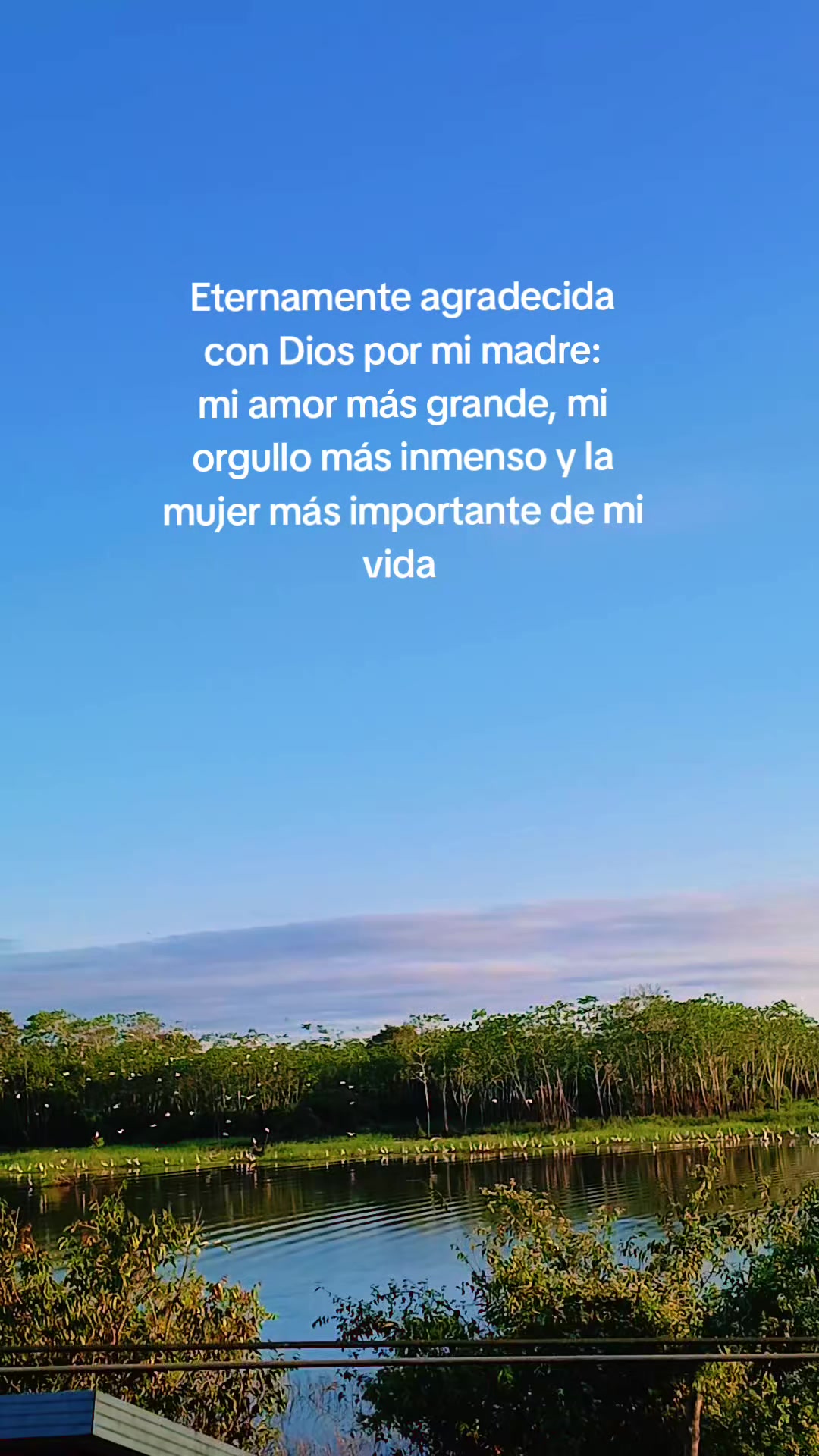 @Lina navarro