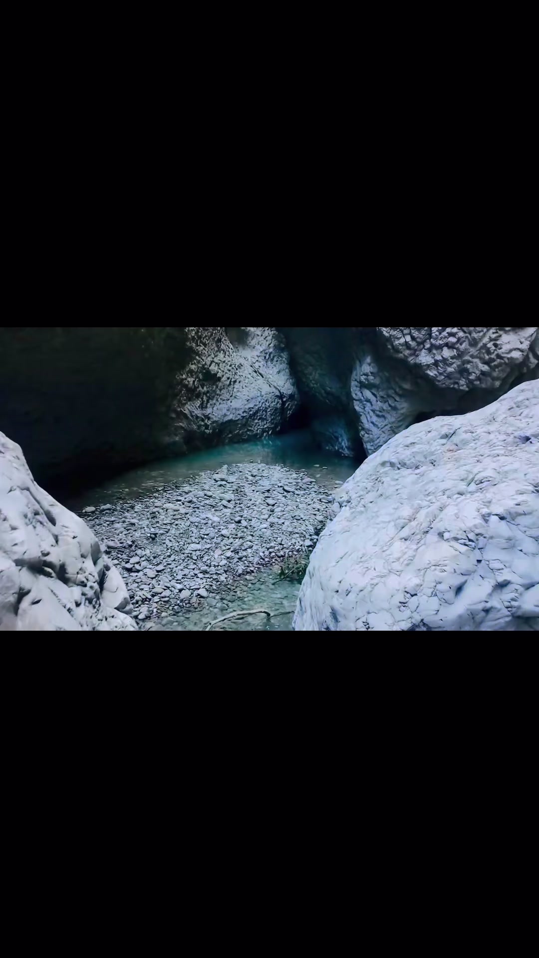 @saimiri.tours