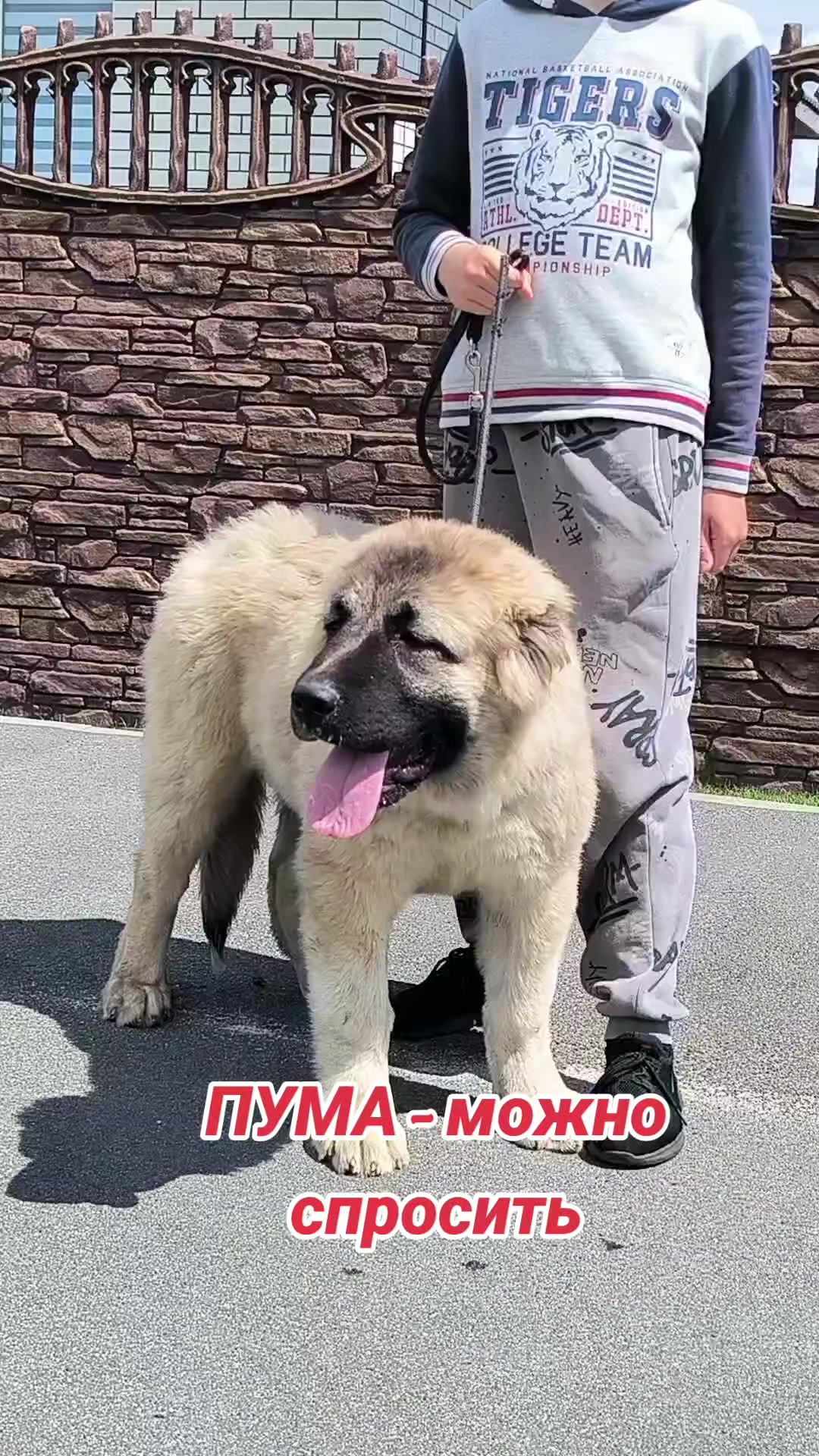 @Петровна