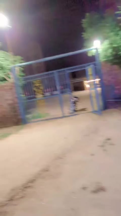 @Musa Ali8545