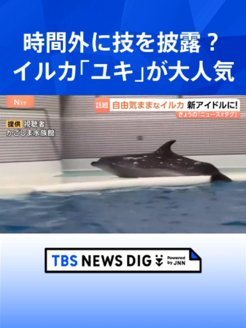 @TBS NEWS DIG Powered by JNN