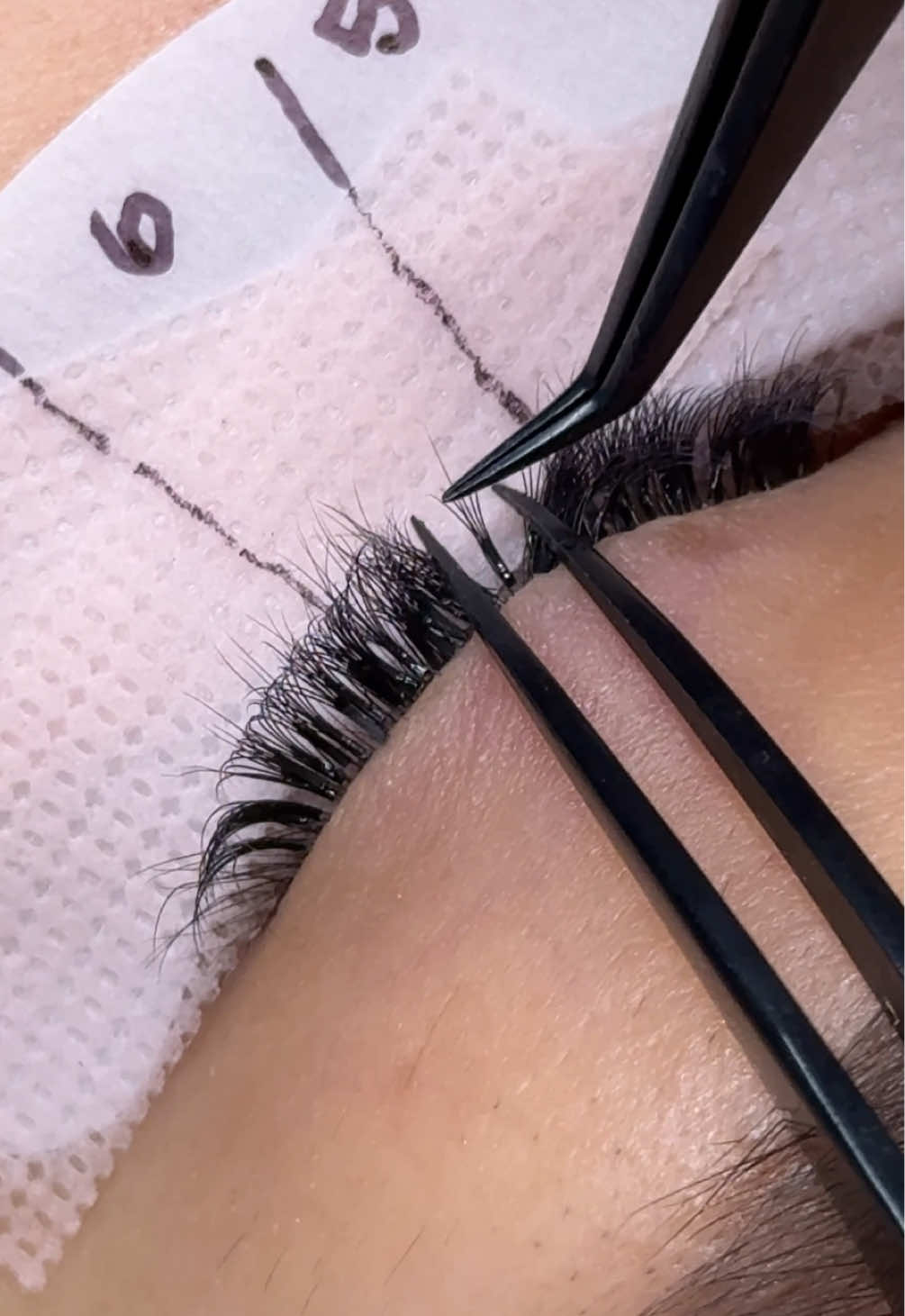 @Mauvella Lash Academy