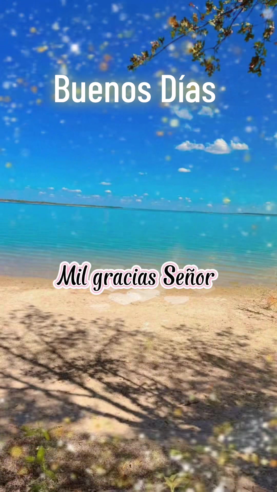 @Adoraci&oacute;n a Dios