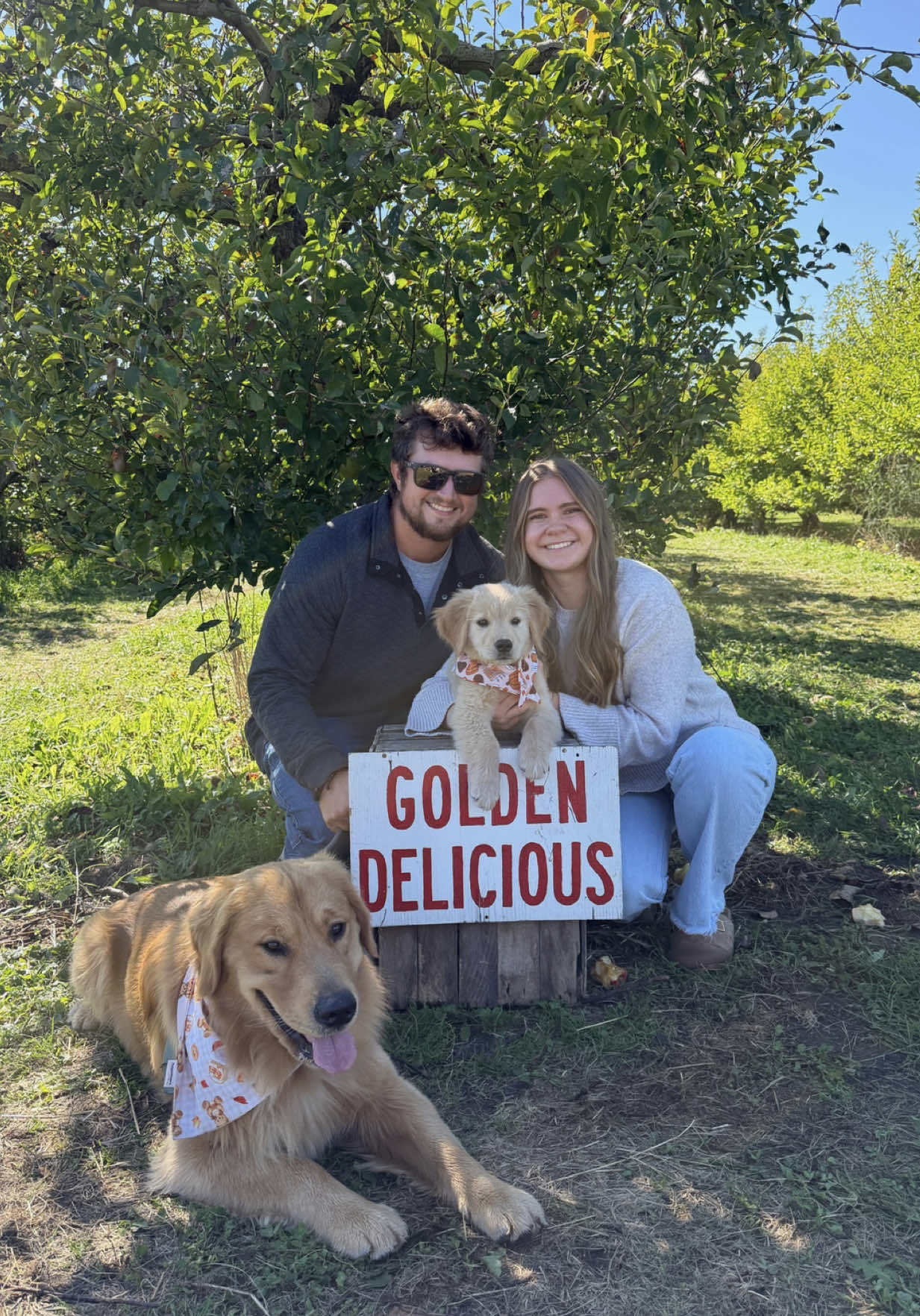 @Teddy & Tucker🐾