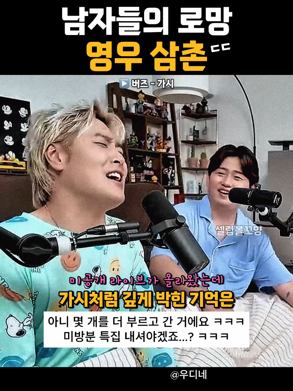 @셀럽볼꼬양