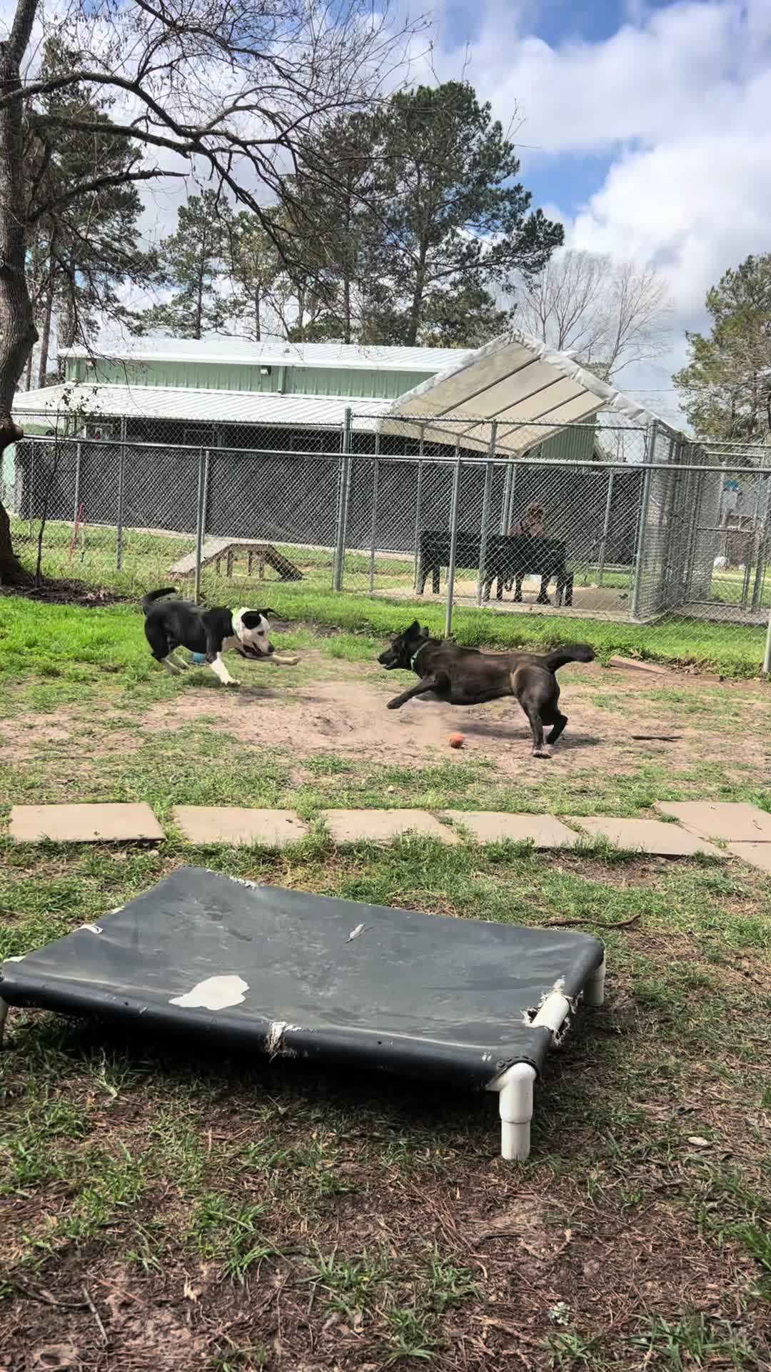 @Corridor Rescue Inc.