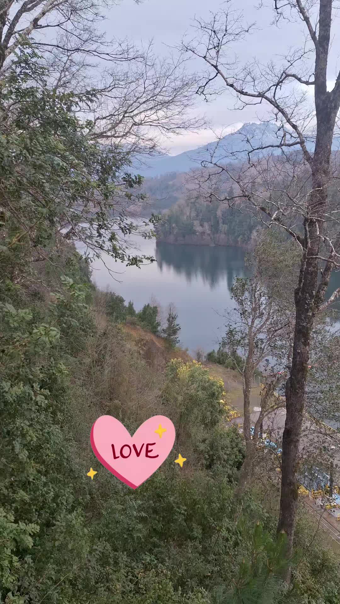 @silvia10302
