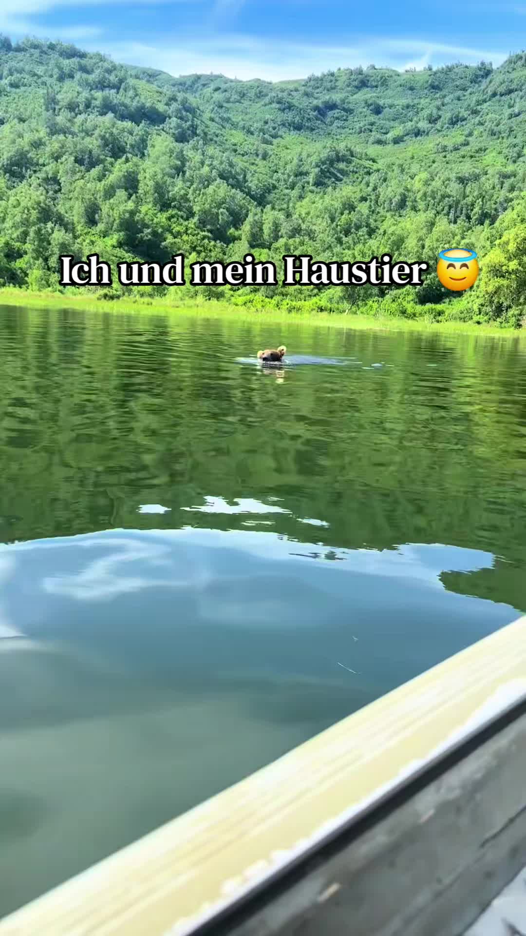 @𝘢𝘲𝘸𝘻𝘰🌲☀️