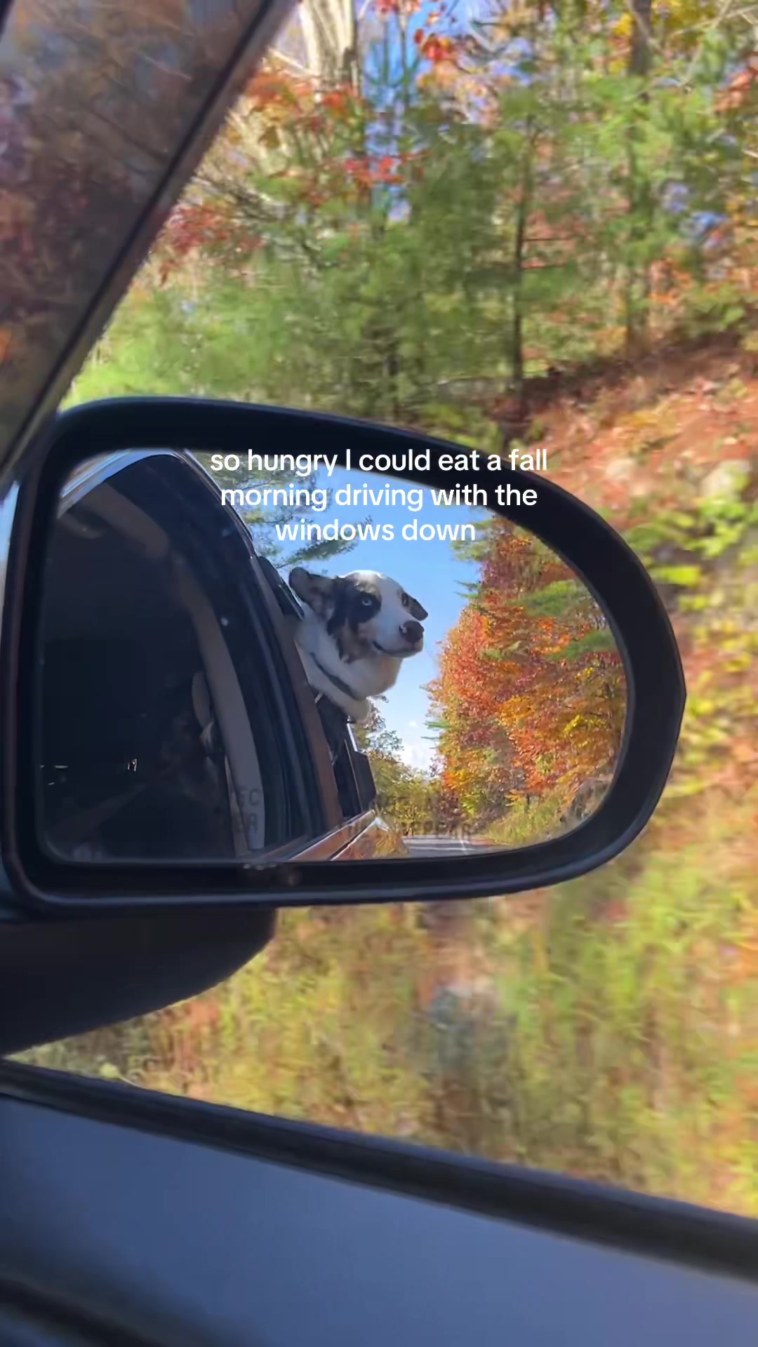 @tails_of_ty