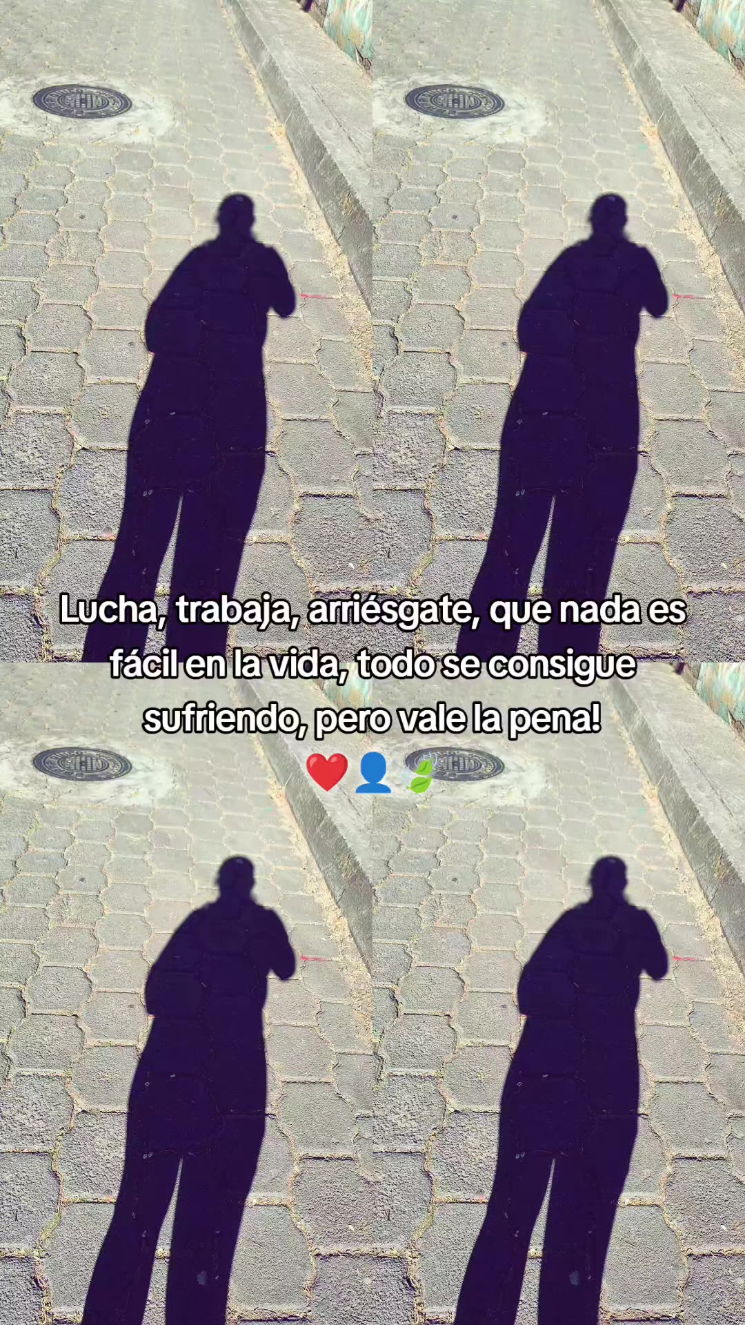 @Evelin ❤️😽