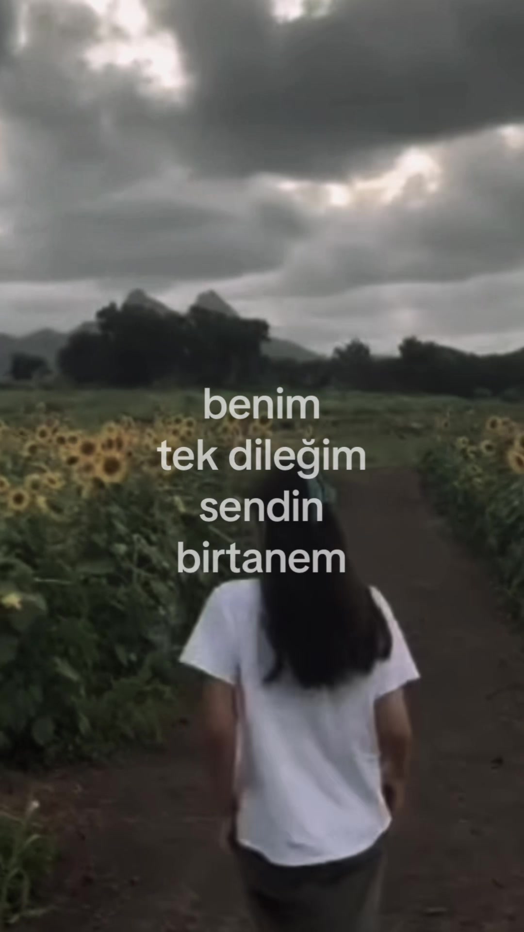 @ela