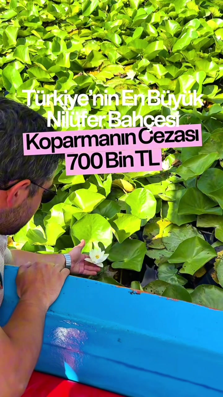@cocuklageziler
