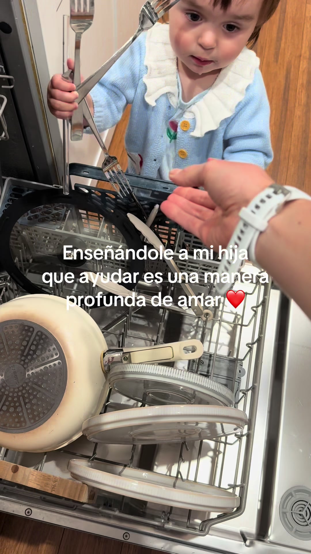 @alevegavalencia