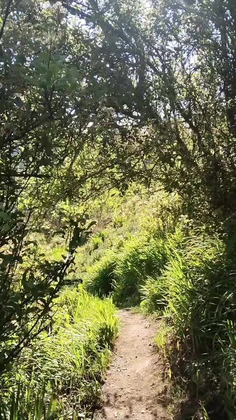 @Rubí