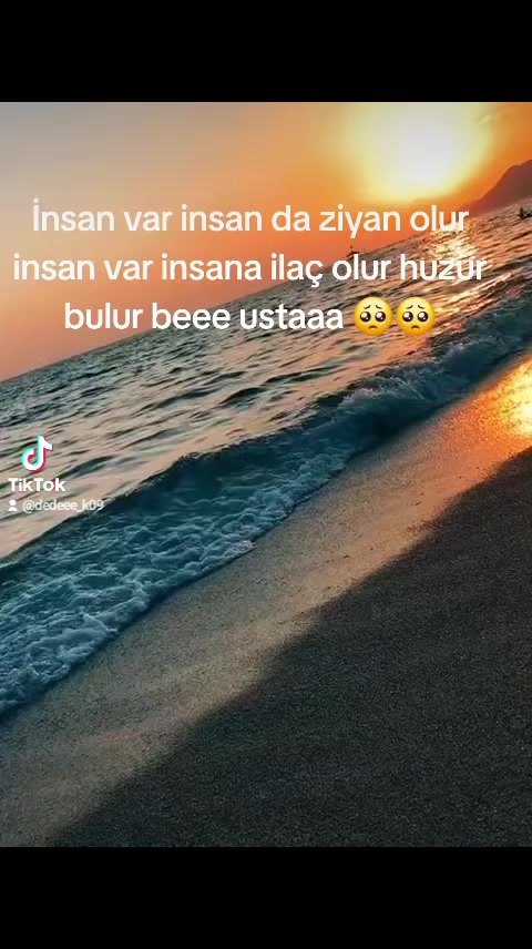 @⚜️wolf usta ⚜️