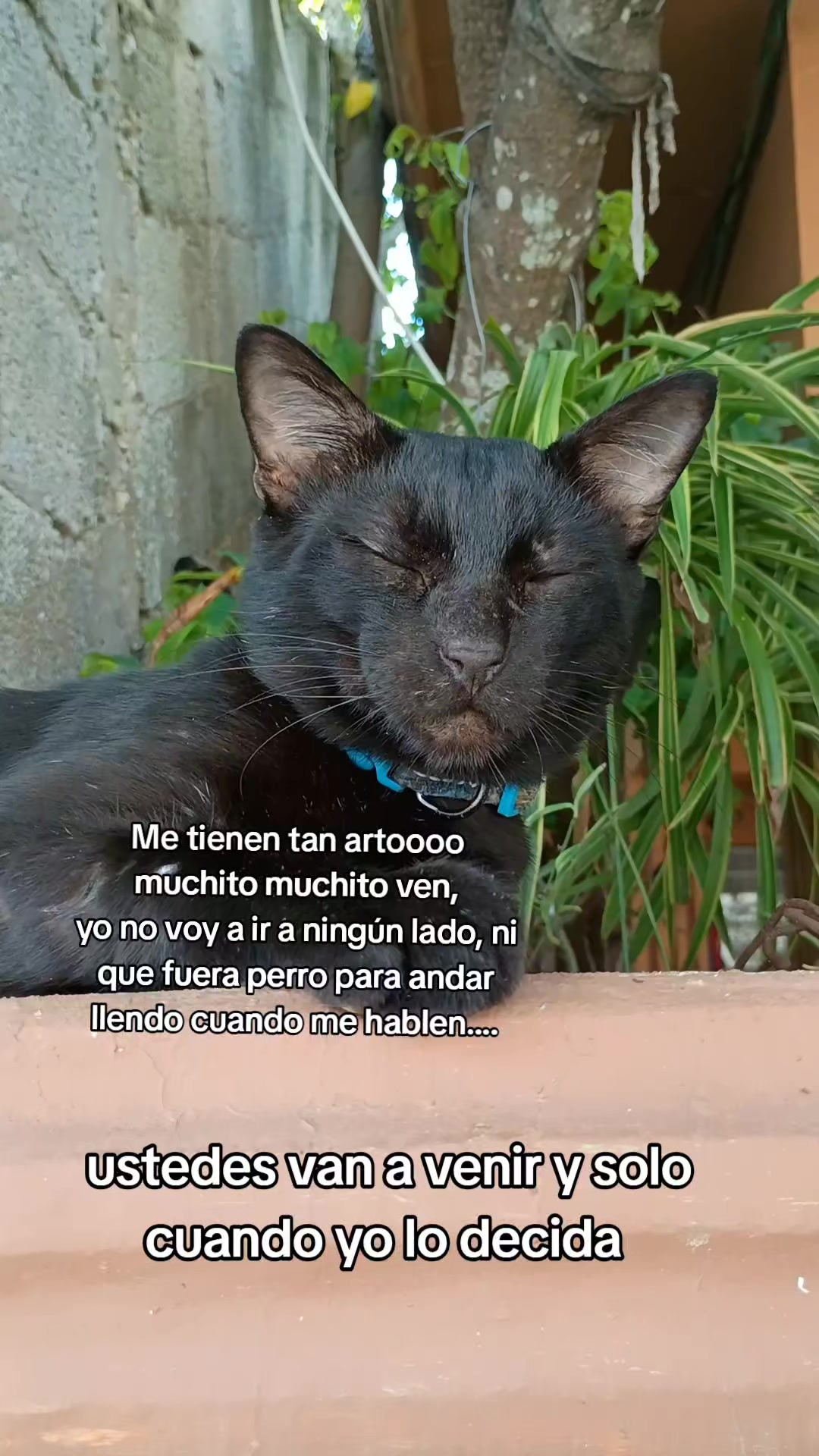 @Arc_avo