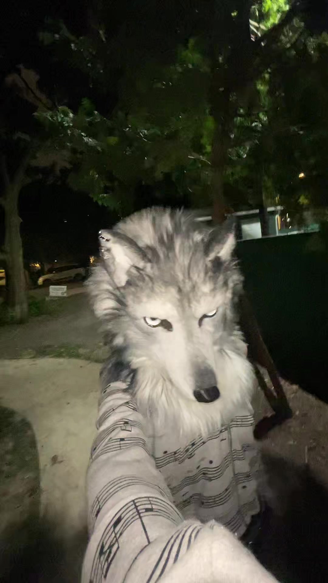@derpykitten