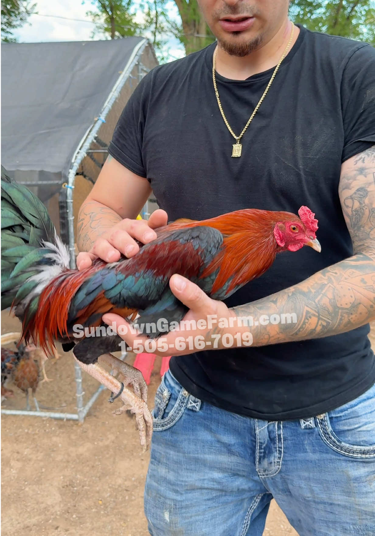 @Sundown Game Farm
