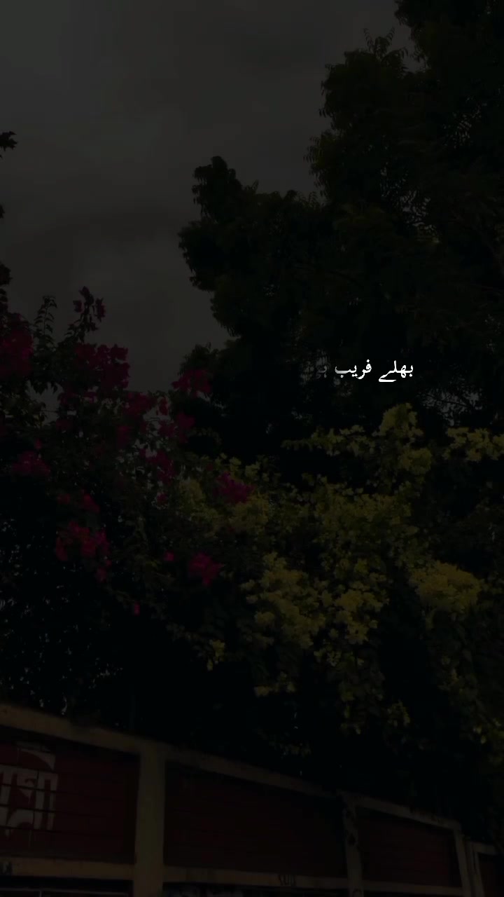 @05°