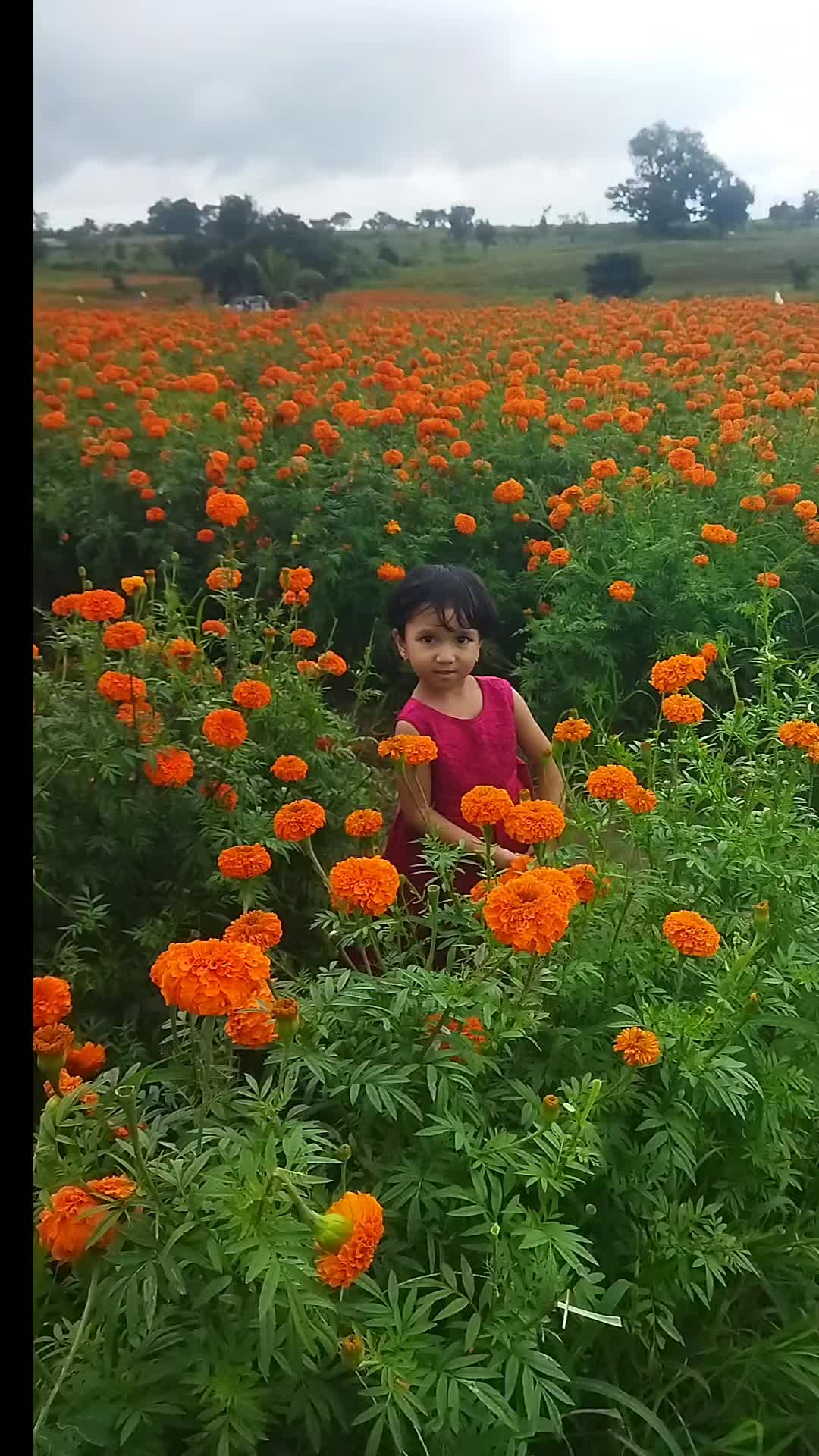 @എല്ലാവരോടും  സ്നേഹം മാത്രം