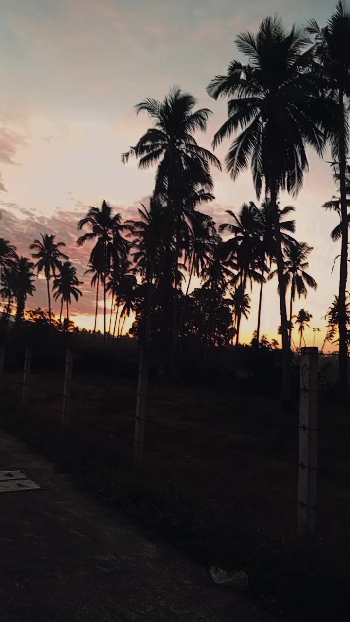 @kulot08