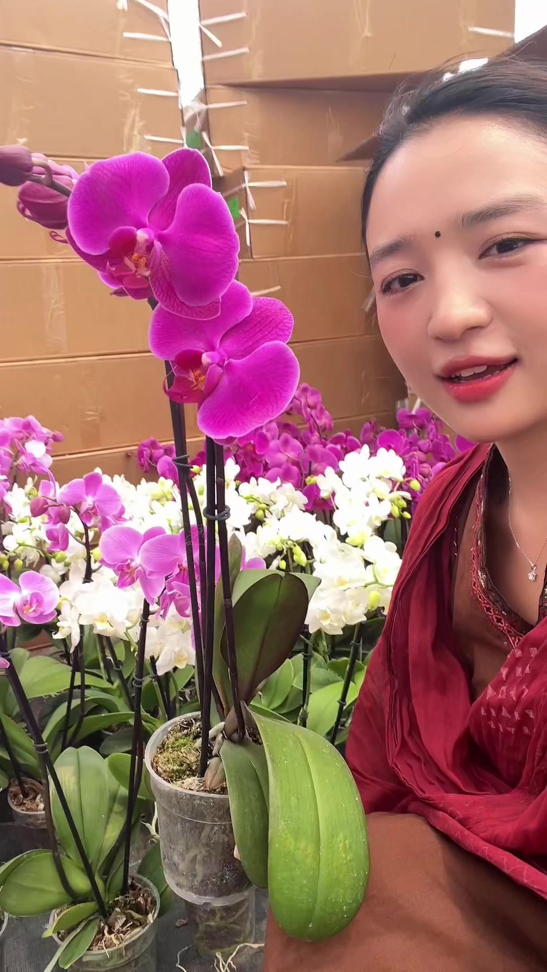 @ALISHA_RAI
