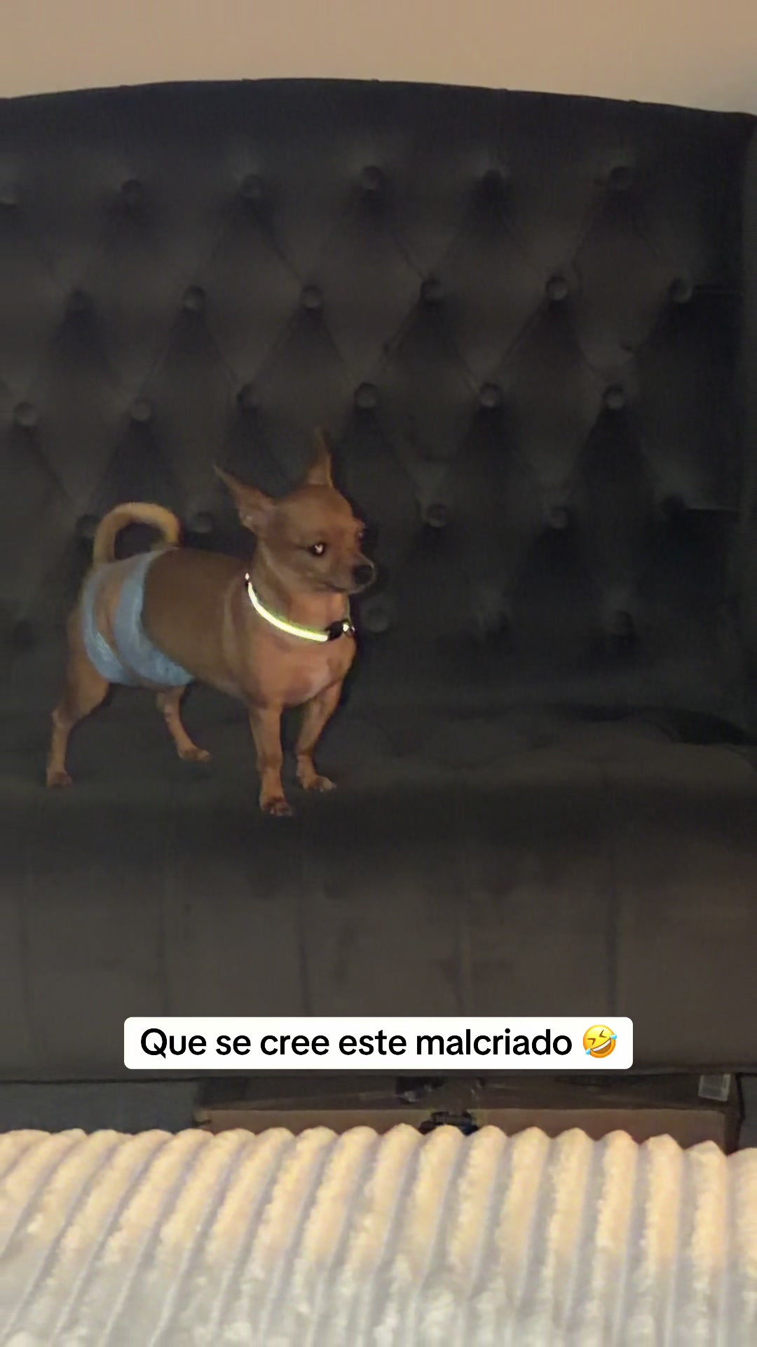 @Gloria Hernandez