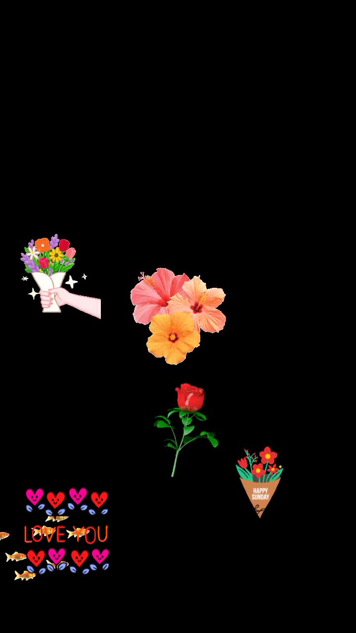 @marta ka amrca