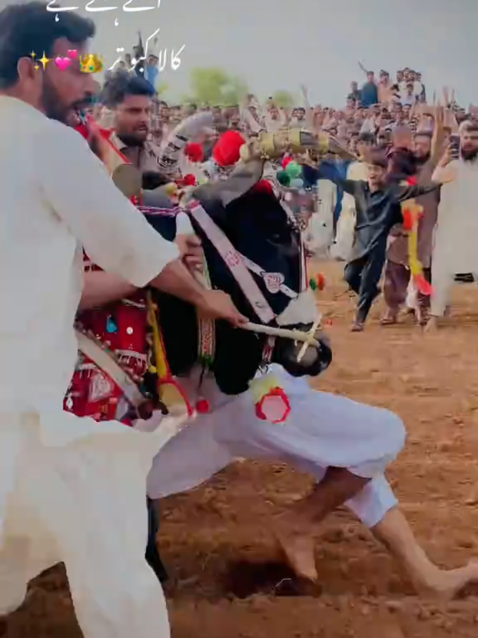 @Ch badar hussain