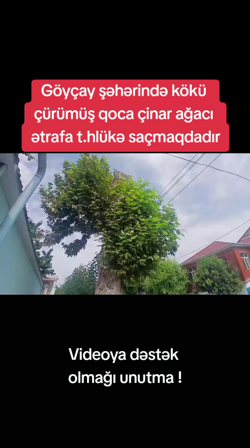 @Göyçay Operativ Xəbər