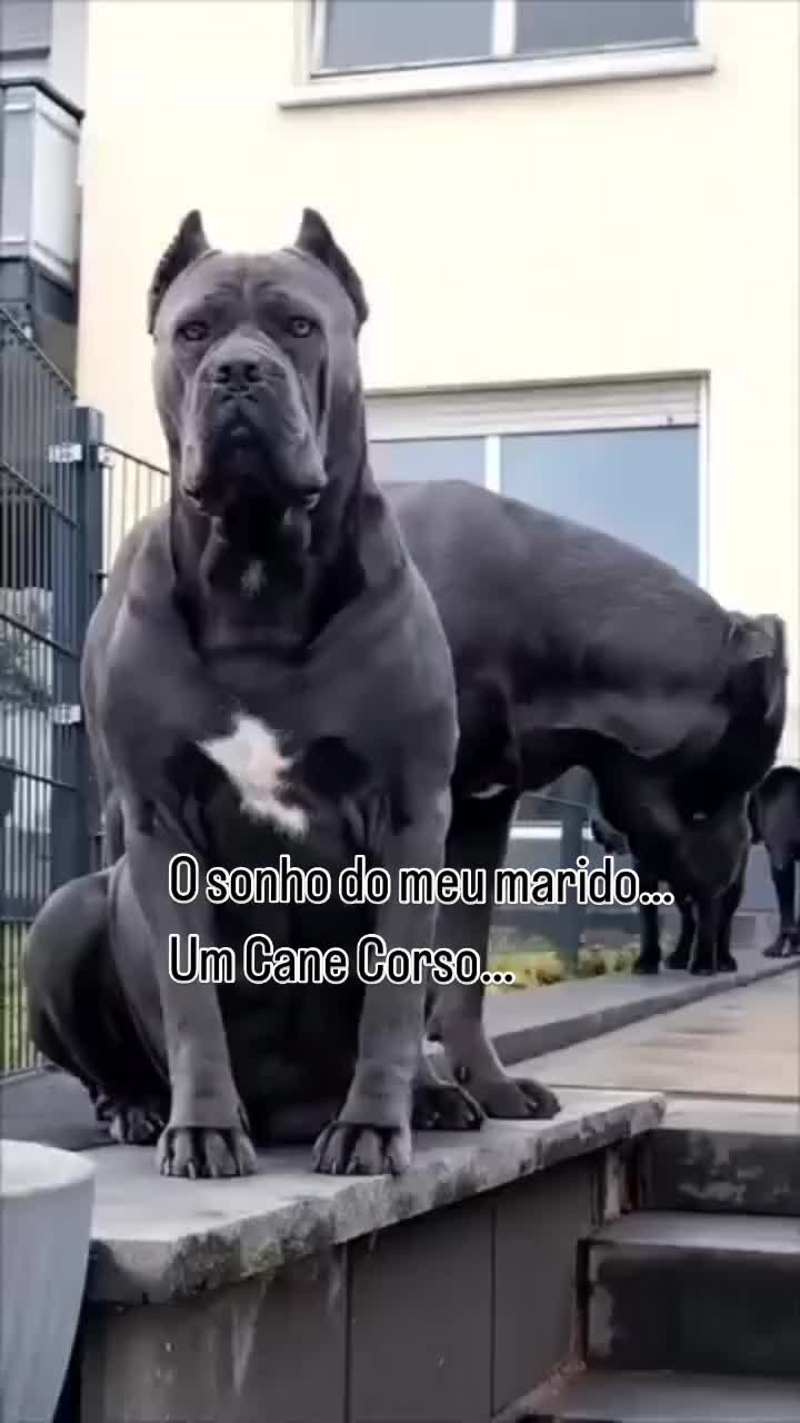 @Lú Silveira