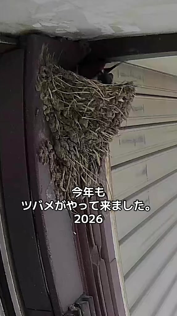 @漆黒の闇に現れる漆黒のフィット