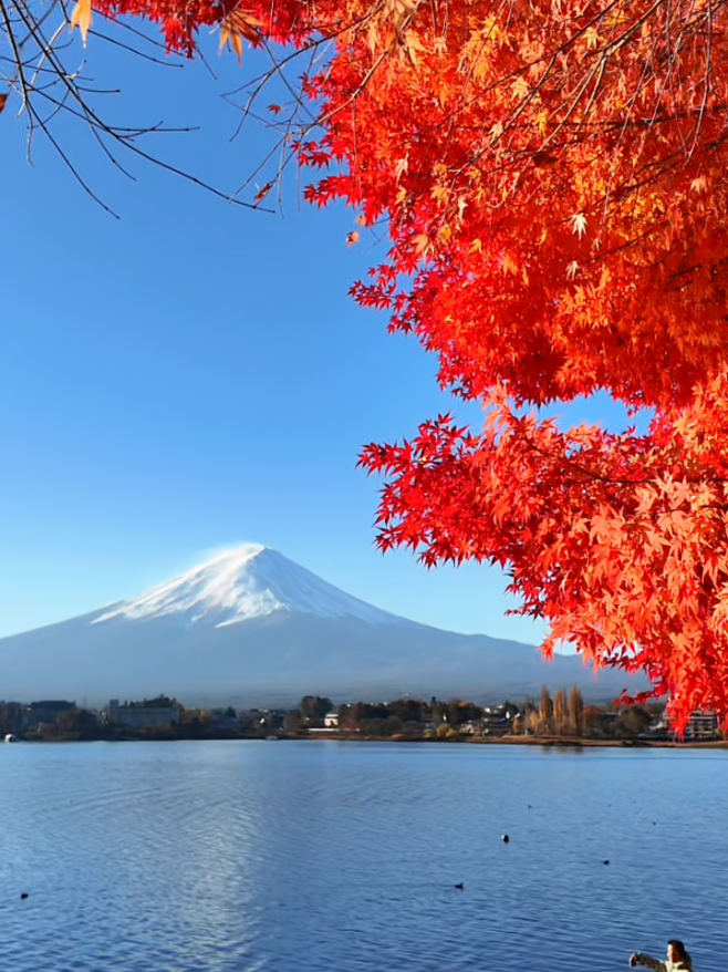 @Yamada | 1-Day Trip To Fuji