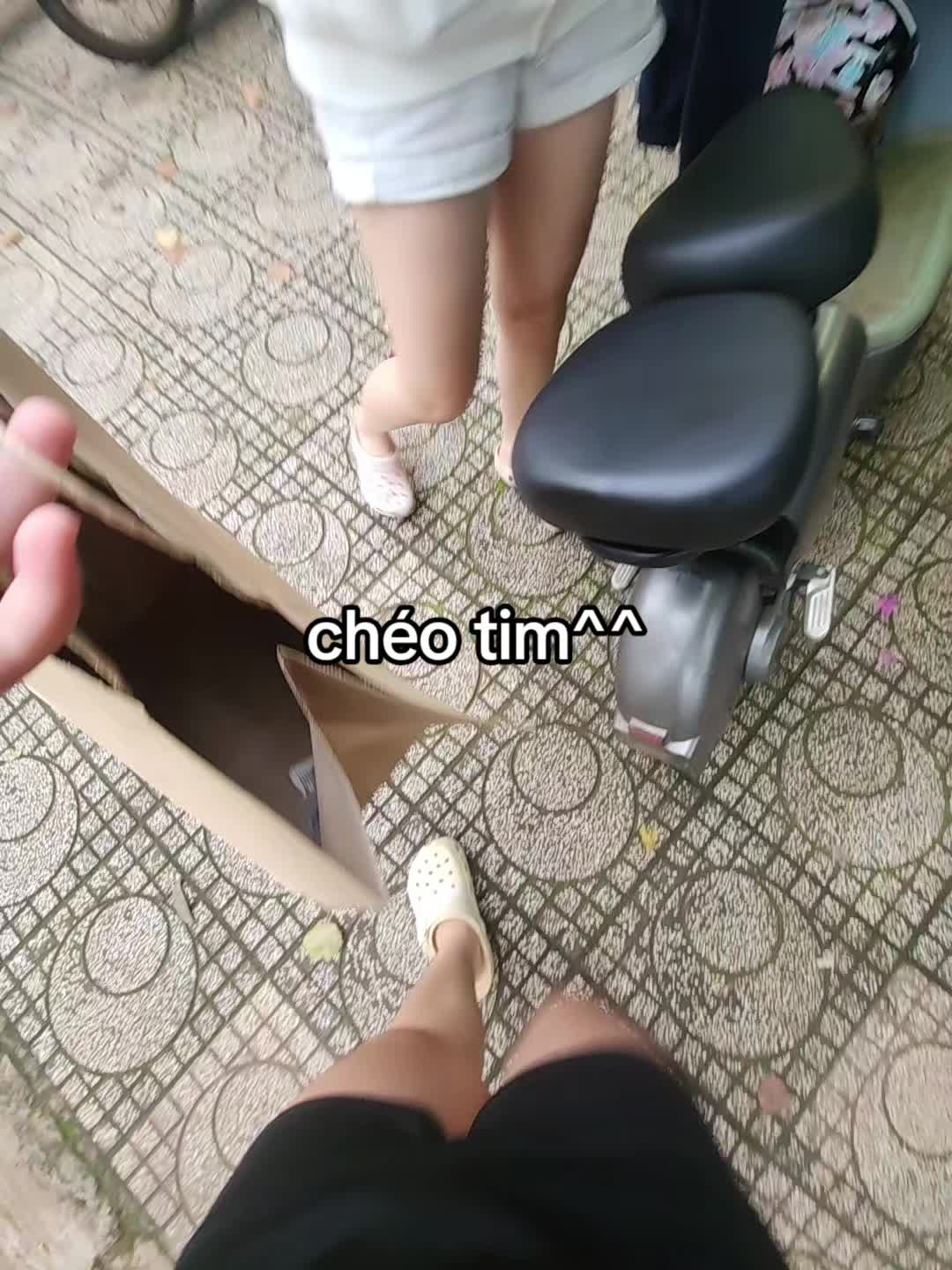 @titt.