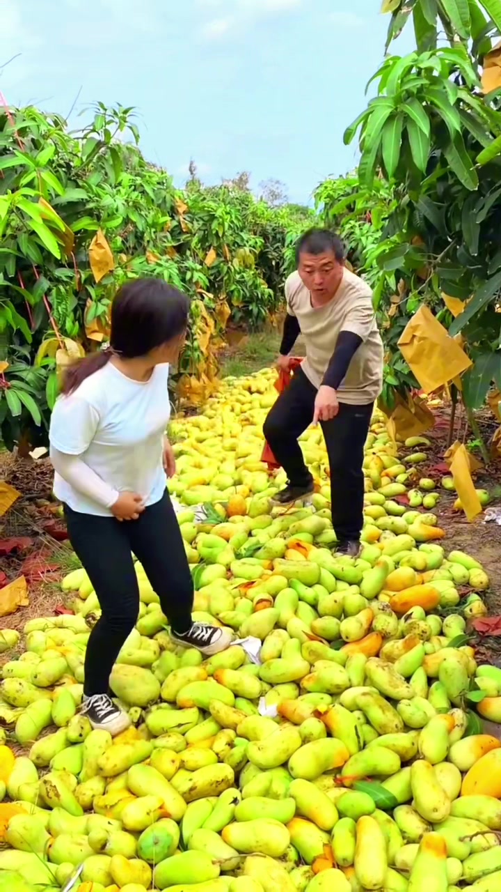 @Fruit happy