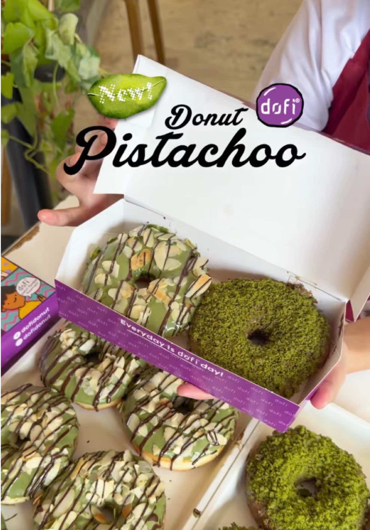 @dofidonut