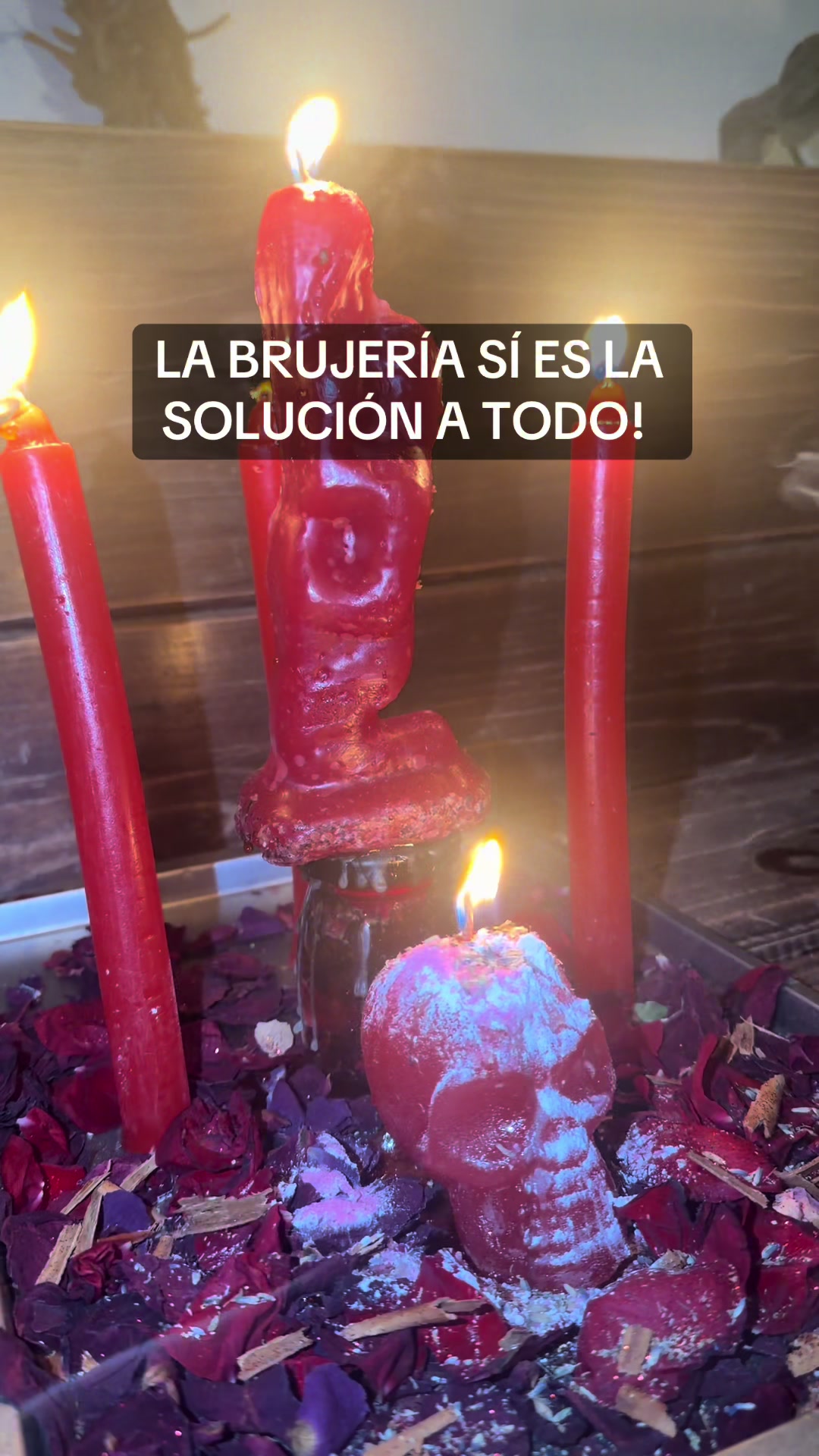 @Izobel