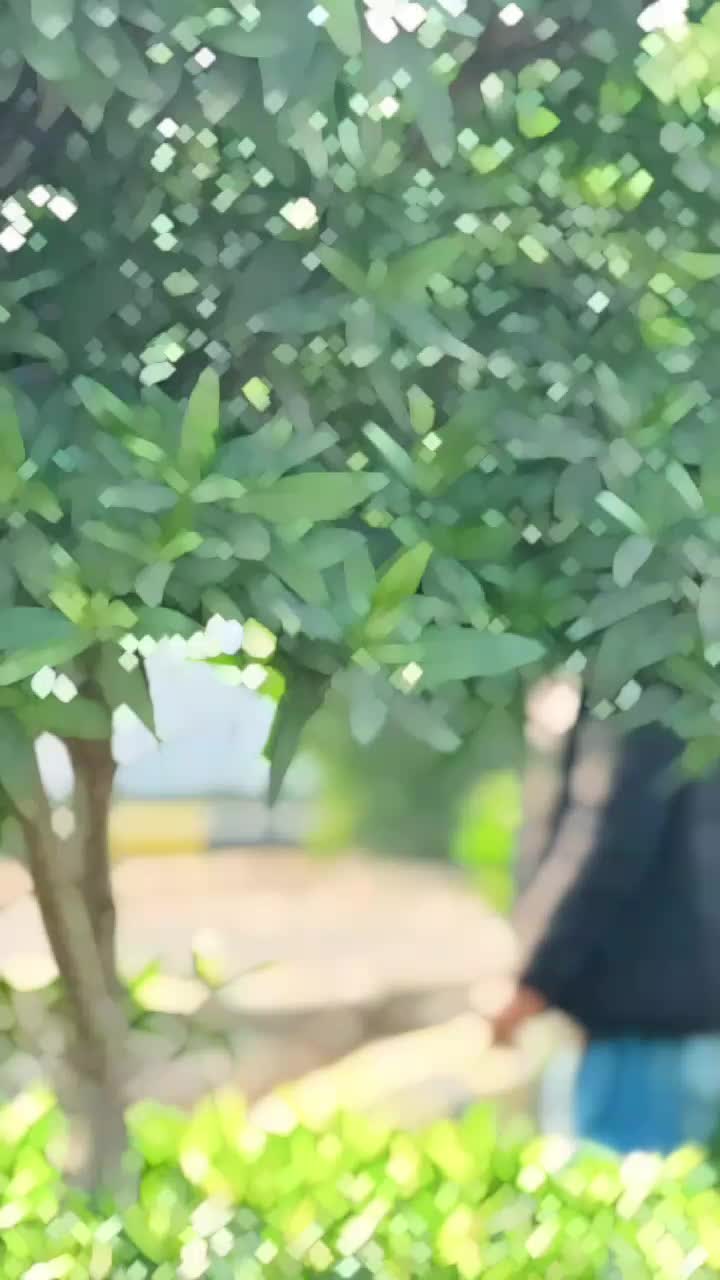 @جام صاحب🦅