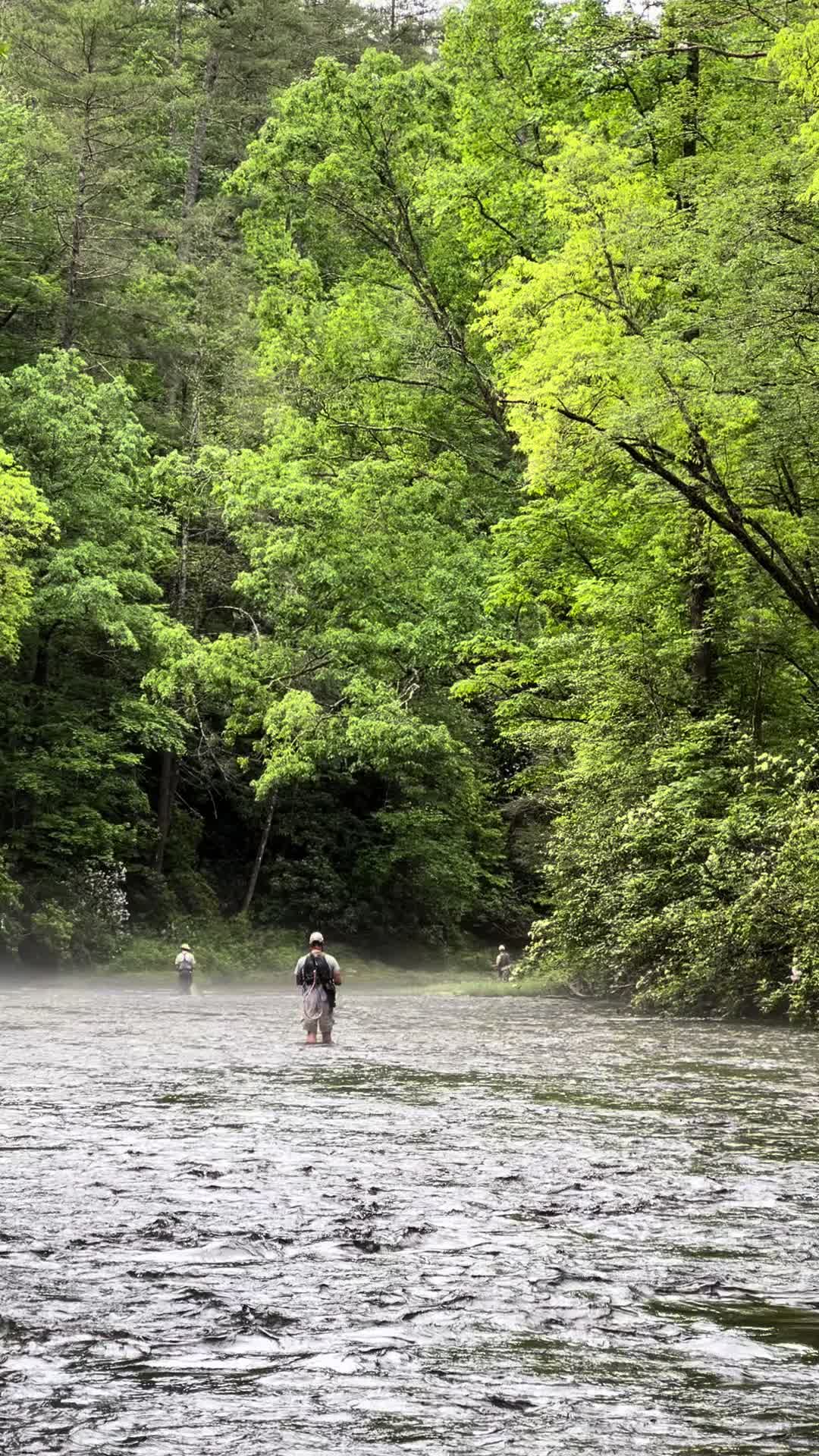 @Michael