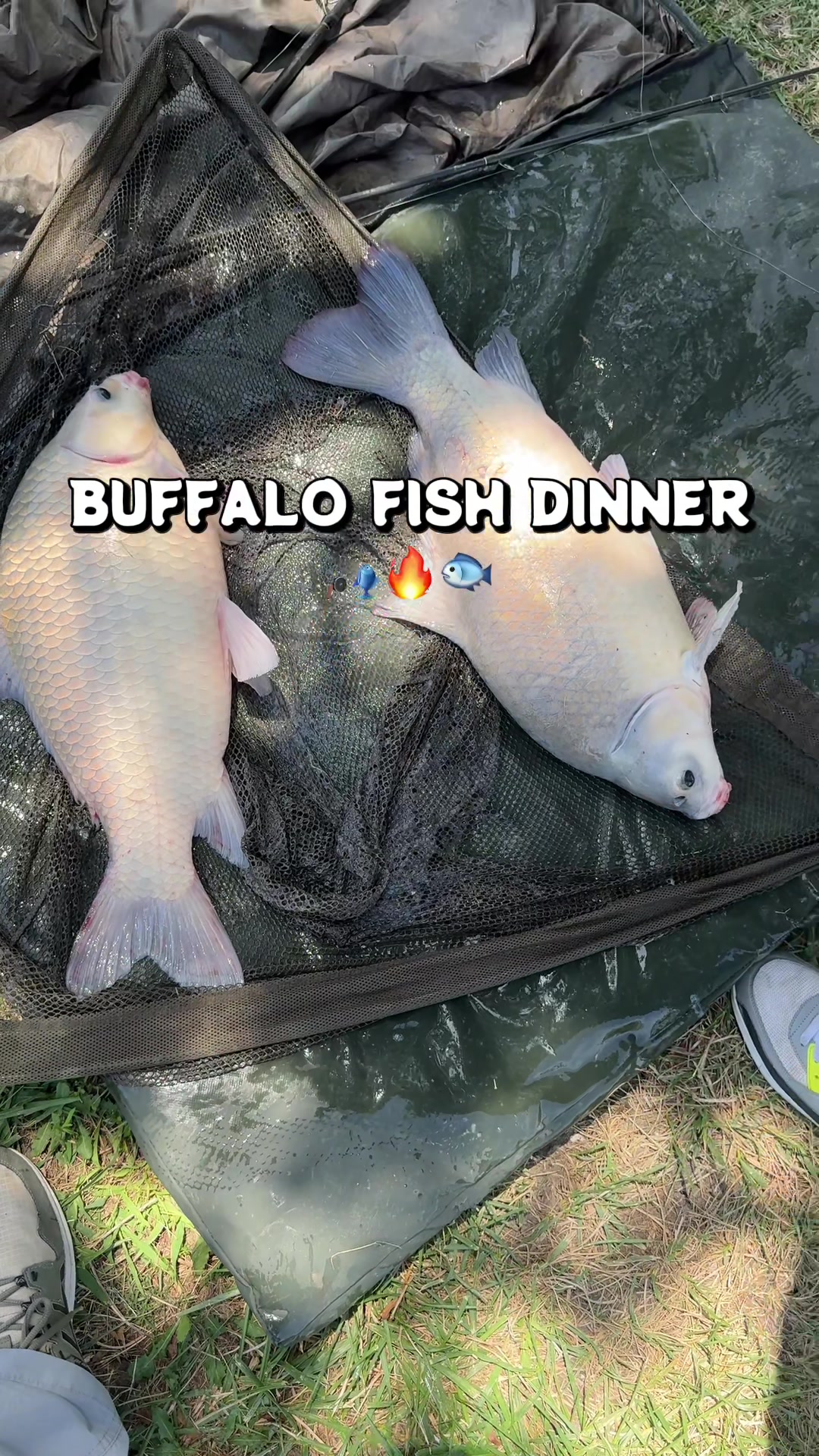 @Grateful Fishing Tv