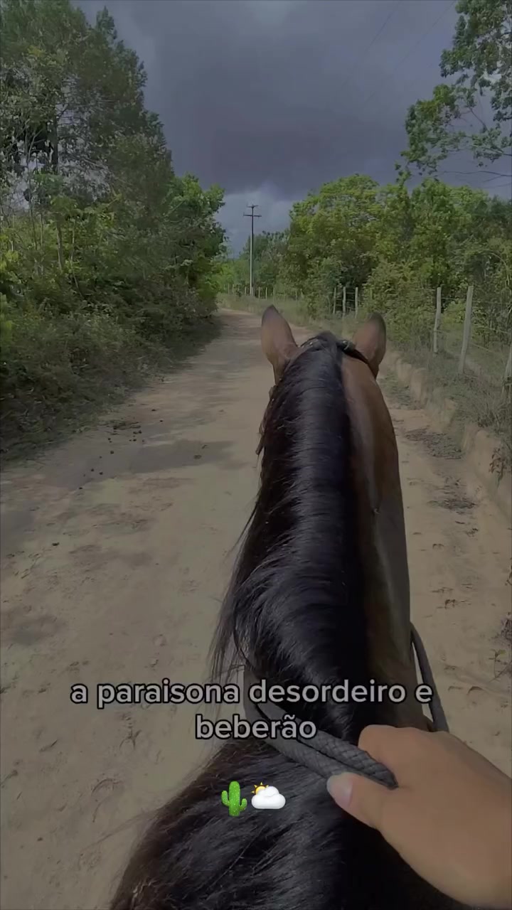 @Letícia