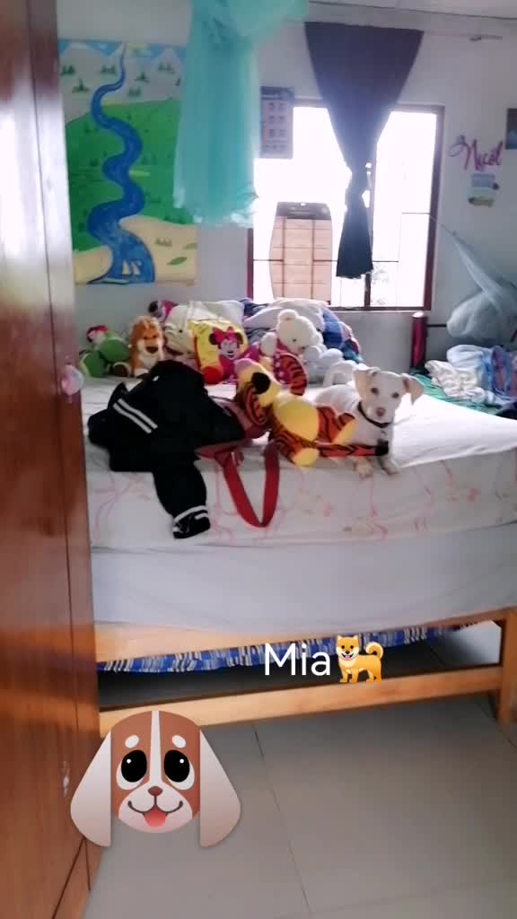 @lilianitasuarez