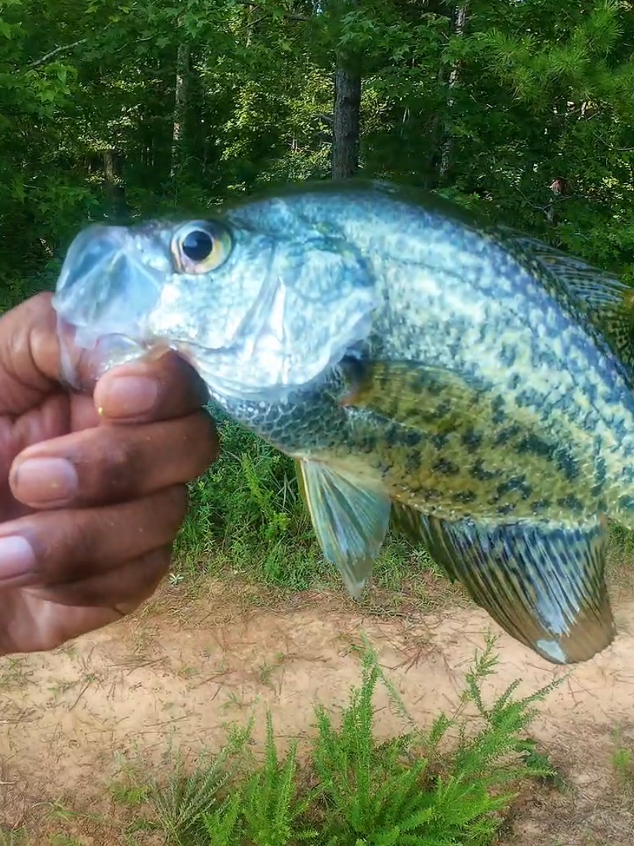 @BIGG BOYY FISHING
