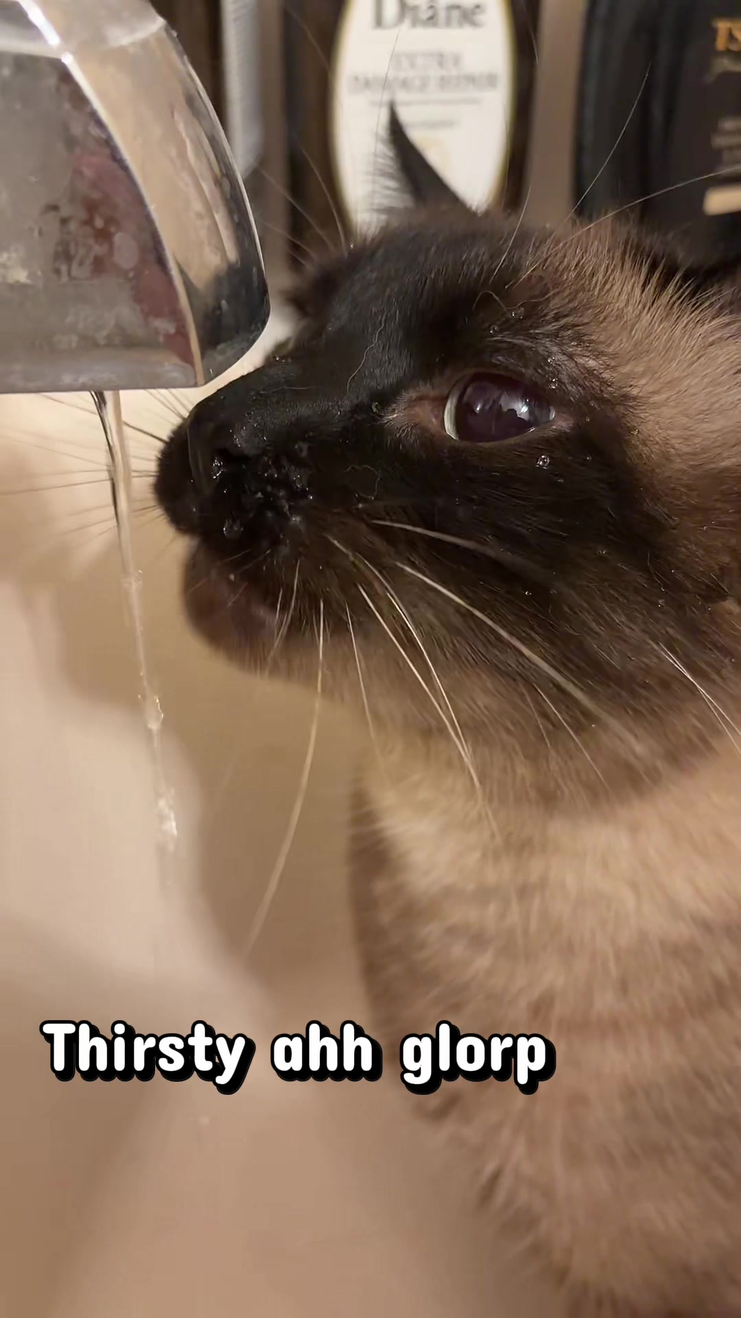 @maowmaowwwww