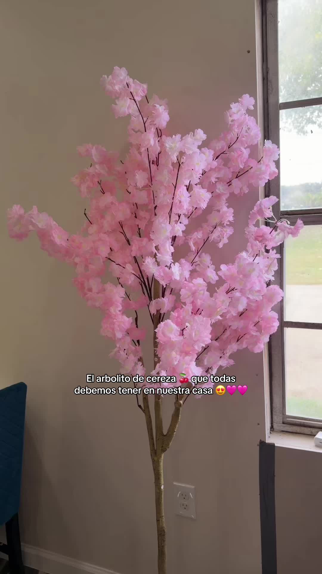 @๐๐๐ช๐ธโฃ๏ธ๐๐๐ค