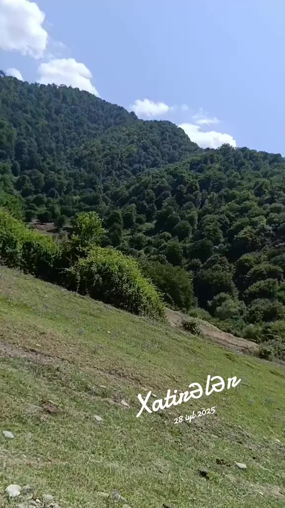 @zuzu_zehra
