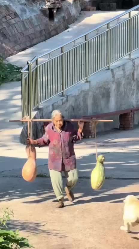 @Funny