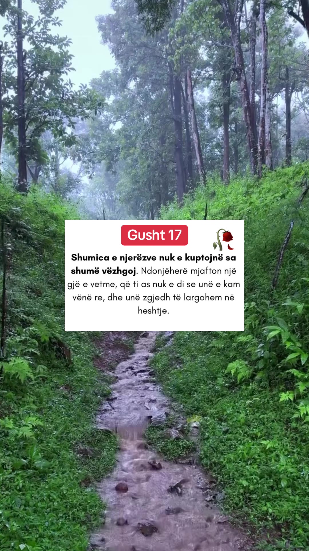 @Thenje Per Jeten🥀